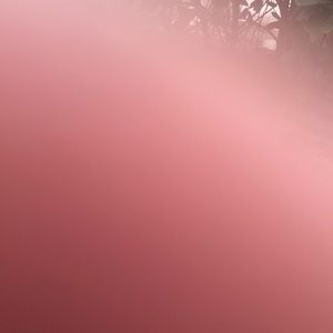 Meet your Posher, Lance